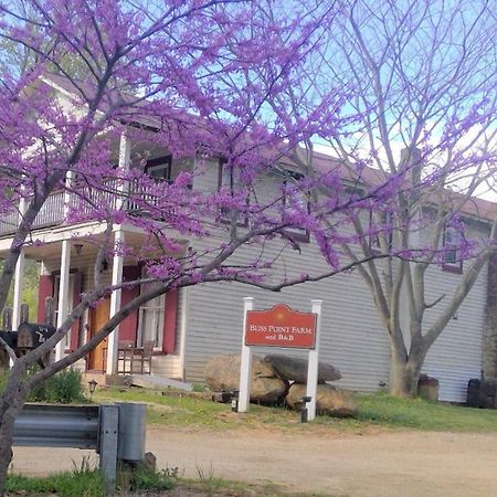 Bliss Point Farm And B&B, Llc Earlysville 外观 照片