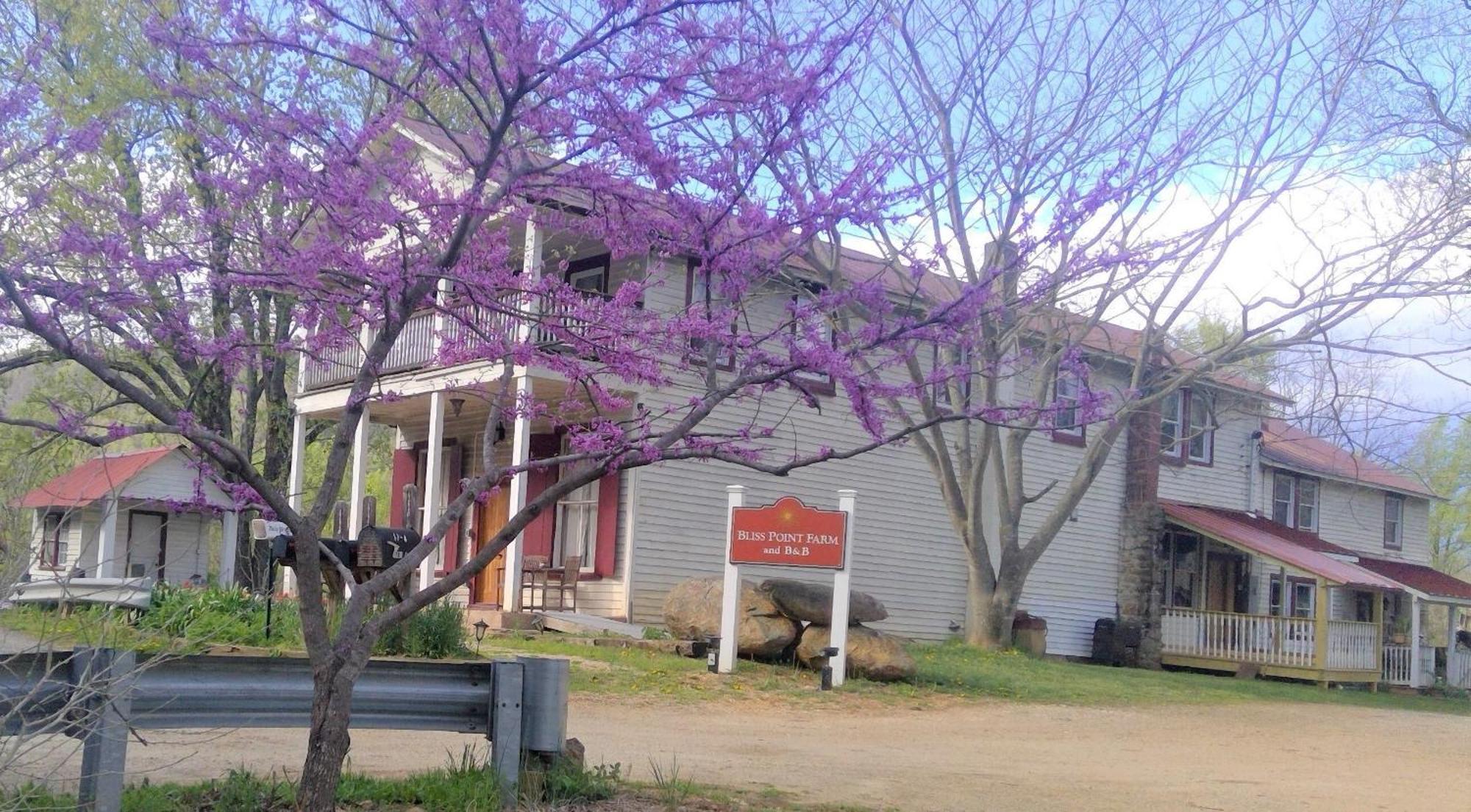 Bliss Point Farm And B&B, Llc Earlysville 外观 照片